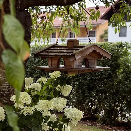 Appartement Geisbergerhof