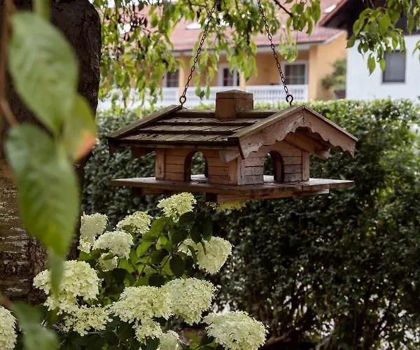 Apartman Geisbergerhof